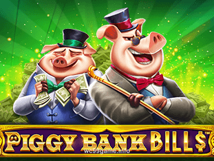 Piggy Bank Bills Slot